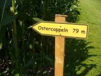 Gemeinde Ostercappeln als Maislabyrinth