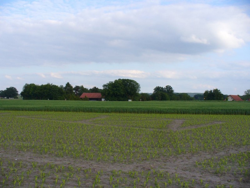 Maislabyrinth Venne 2014 - Fotogalerie - 15 von 100