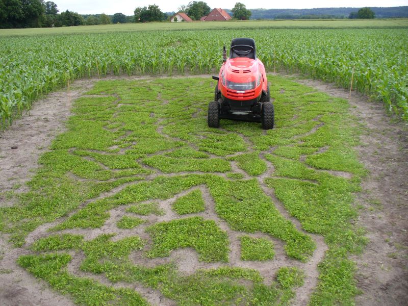 Maislabyrinth Venne 2014 - Fotogalerie - 40 von 100