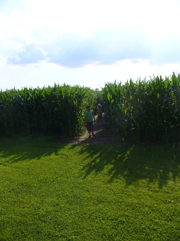 Maislabyrinth Venne 2014 - Fotogalerie - 71 von 100